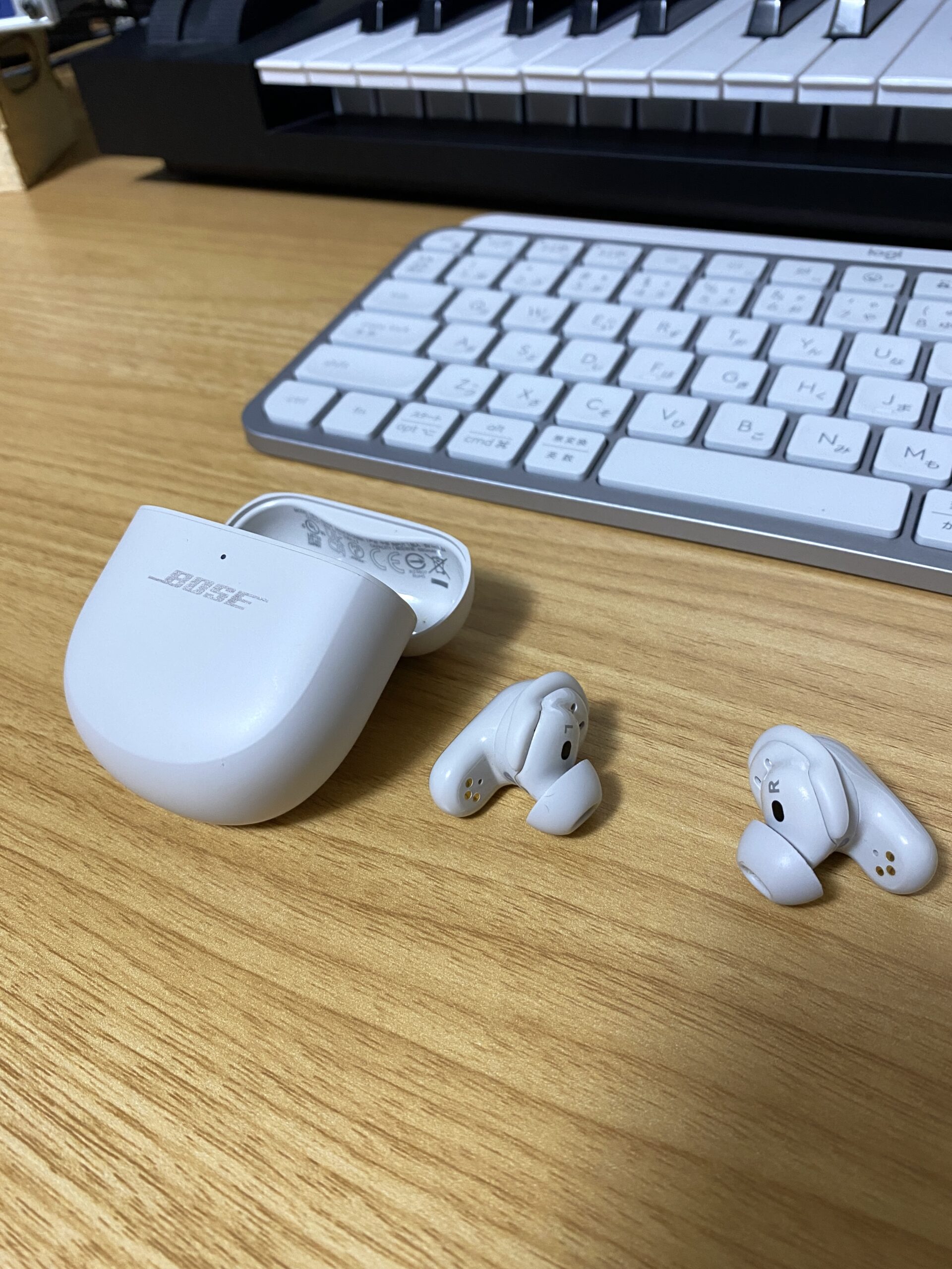 【半年使用レビュー】Bose QuietComfort Ultra Earbudsは「手放せないイヤホン」になった【ノイキャン世界一】